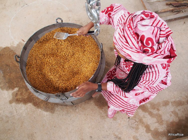 Reducing rice post-harvest losses in sub-Sahara Africa (SSA)