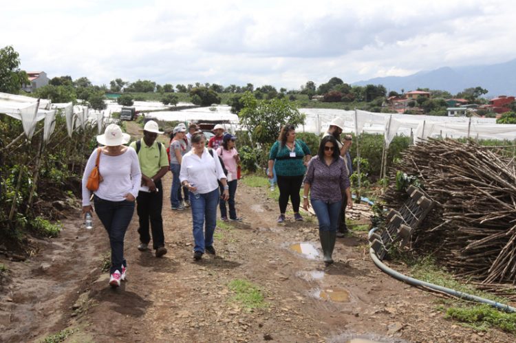 PEF workshop in Costa Rica on the assessment of postharvest losses