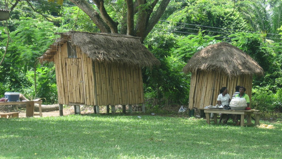 How understanding the biology of the crop can help us reduce losses of yams during on-farm storage in West Africa