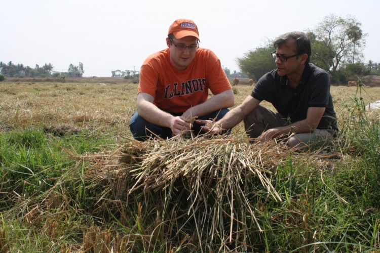 What We Found Different about Farming Systems in North versus South India