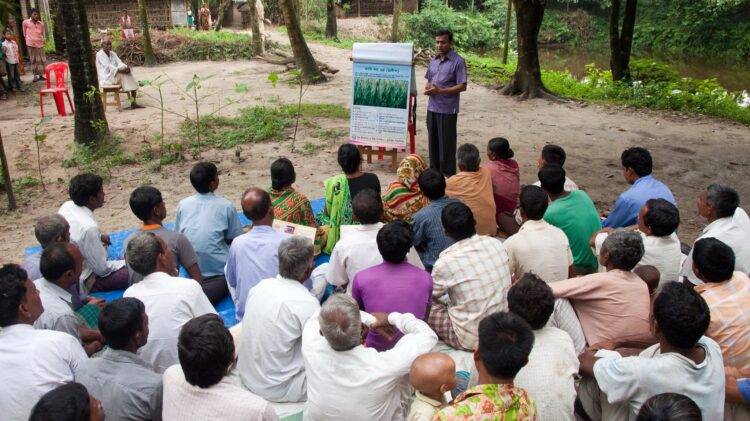 Importance of Capacity Building in Promoting Better Postharvest Management